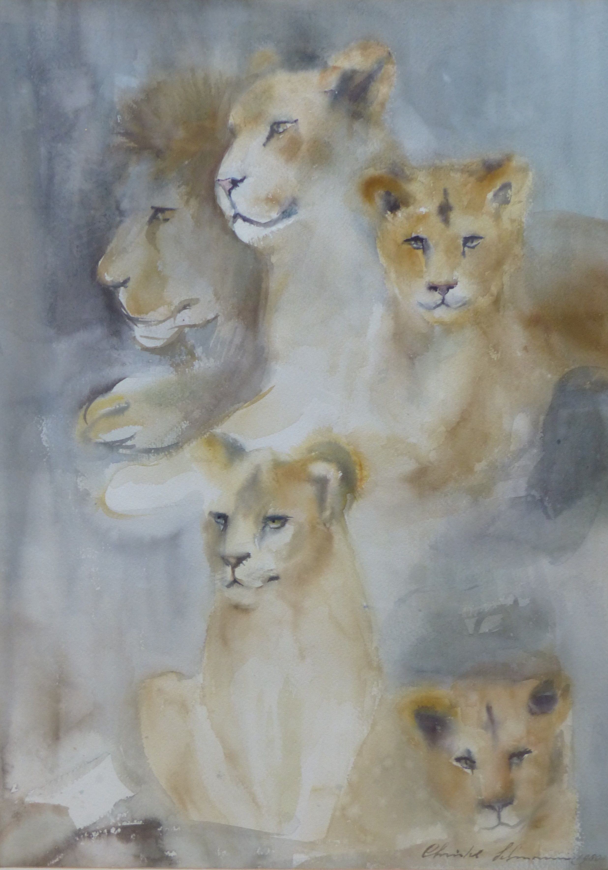 Crislett Lehmann, watercolour, Study of lions, signed and dated 1980, 64 x 46cm